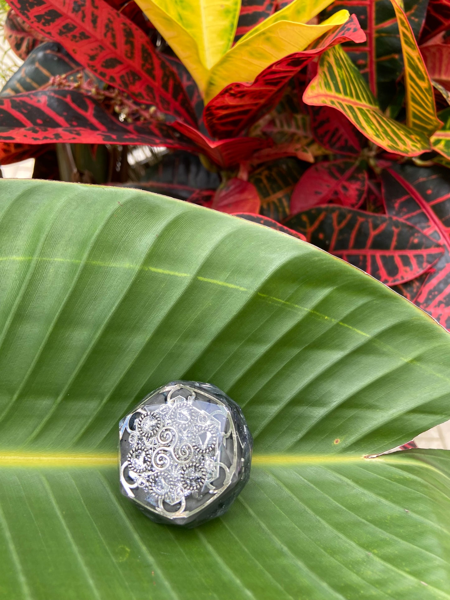 Decorative stone with intricate patterns on a large green leaf, with a colorful plant in the background.