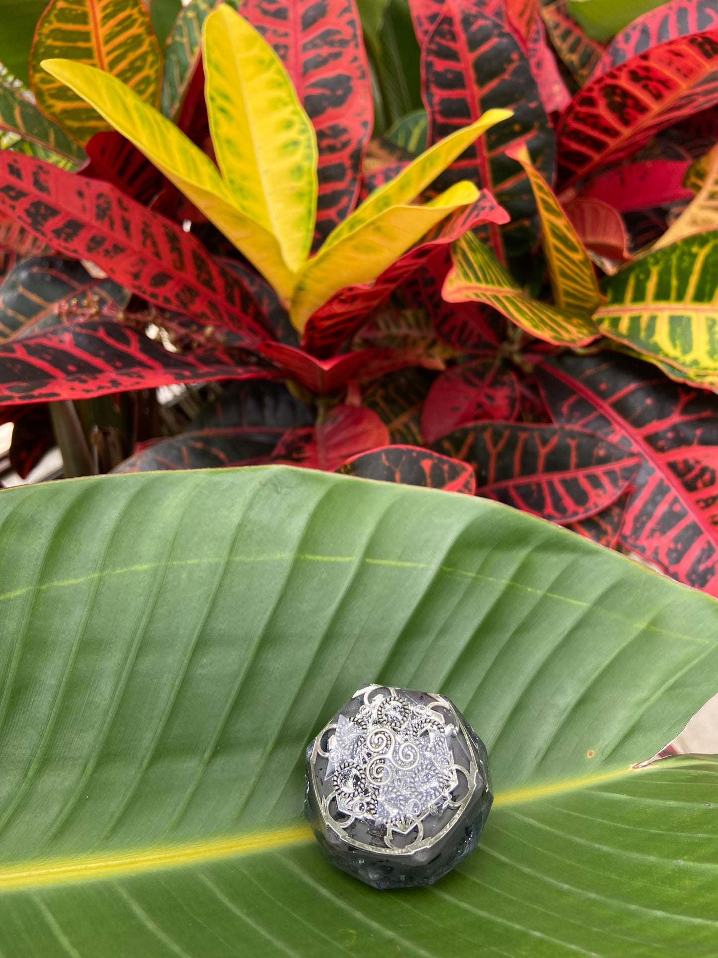 Decorative stone with intricate design on a large green leaf, with colorful foliage in the background