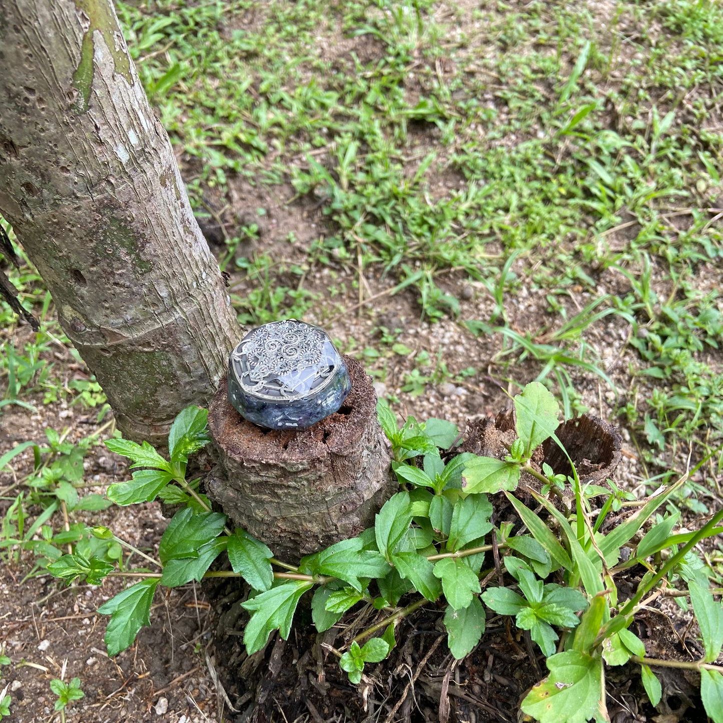 SereniCore Orgonite