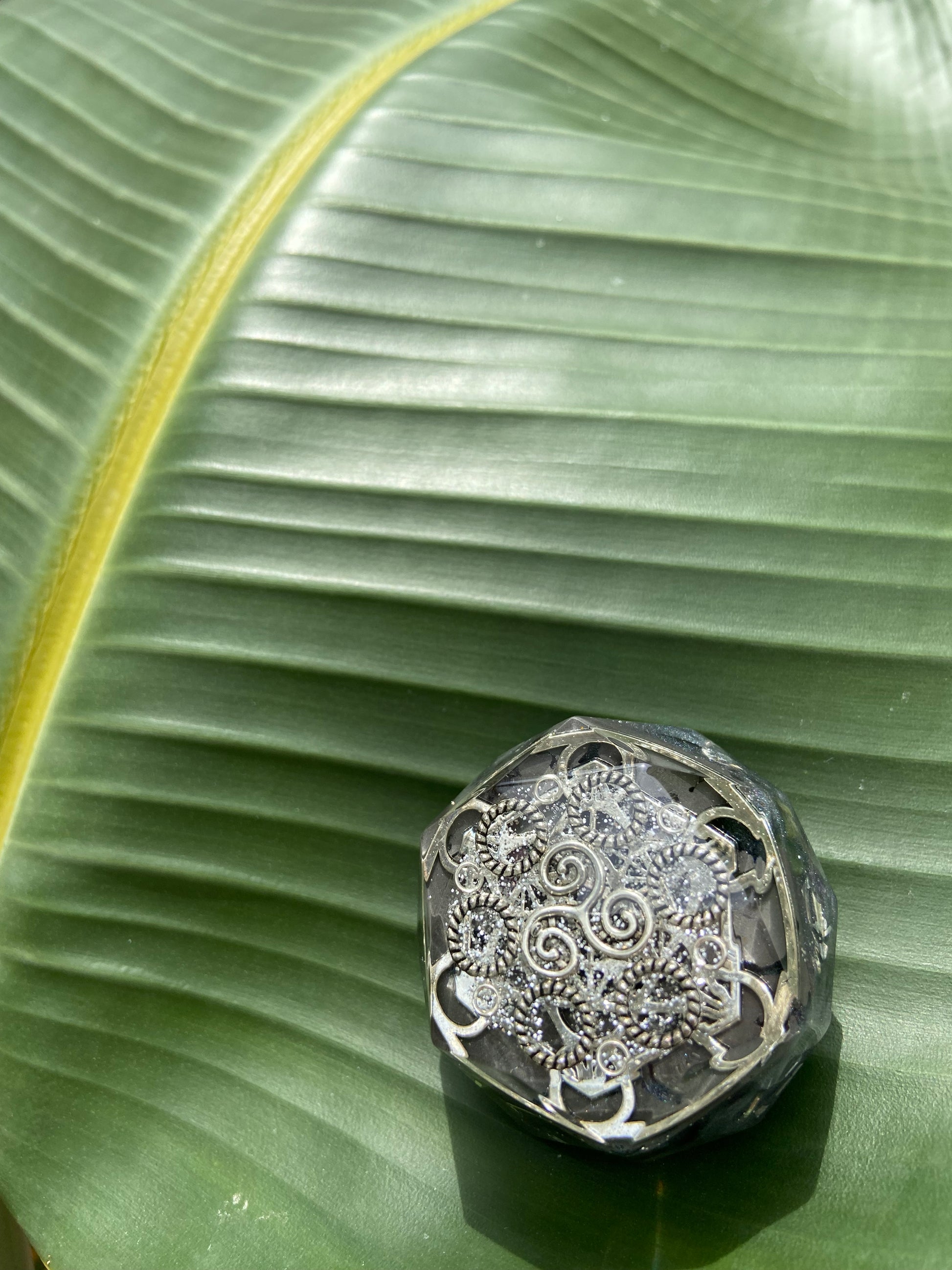 Silver ring with intricate design on a large green leaf