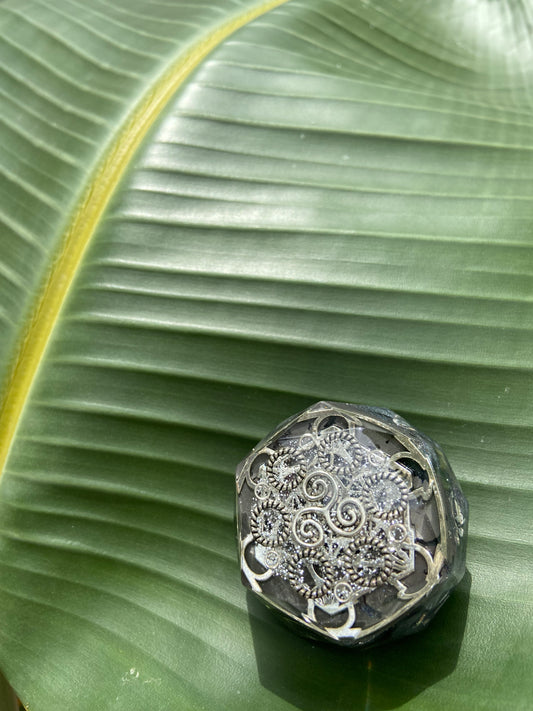 Silver ring with intricate design on a large green leaf